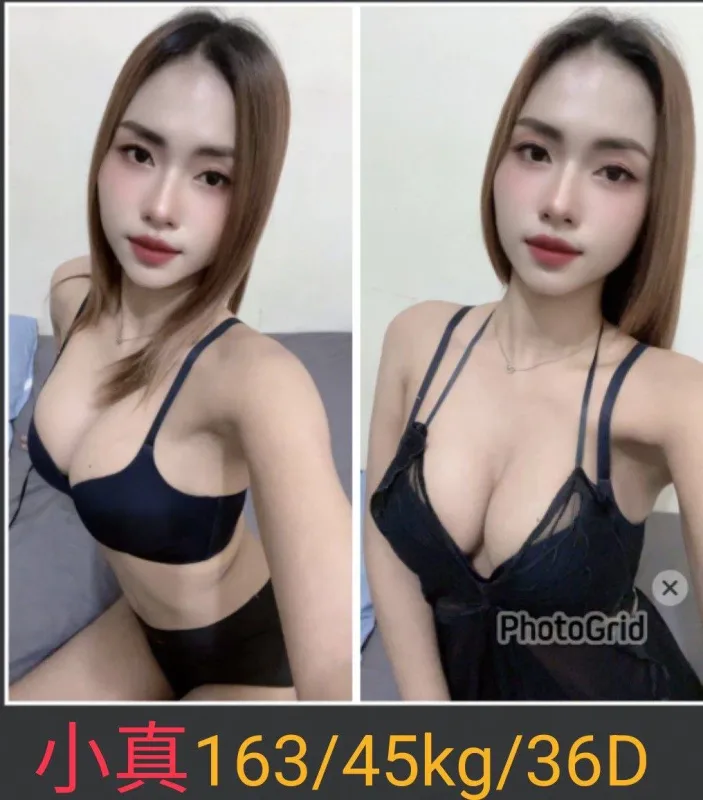 南投定點茶