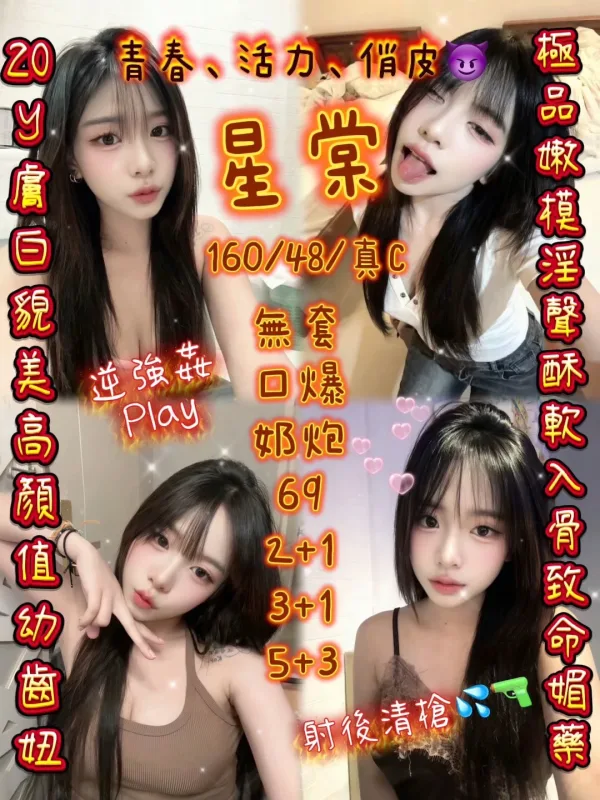 新竹北區定點茶