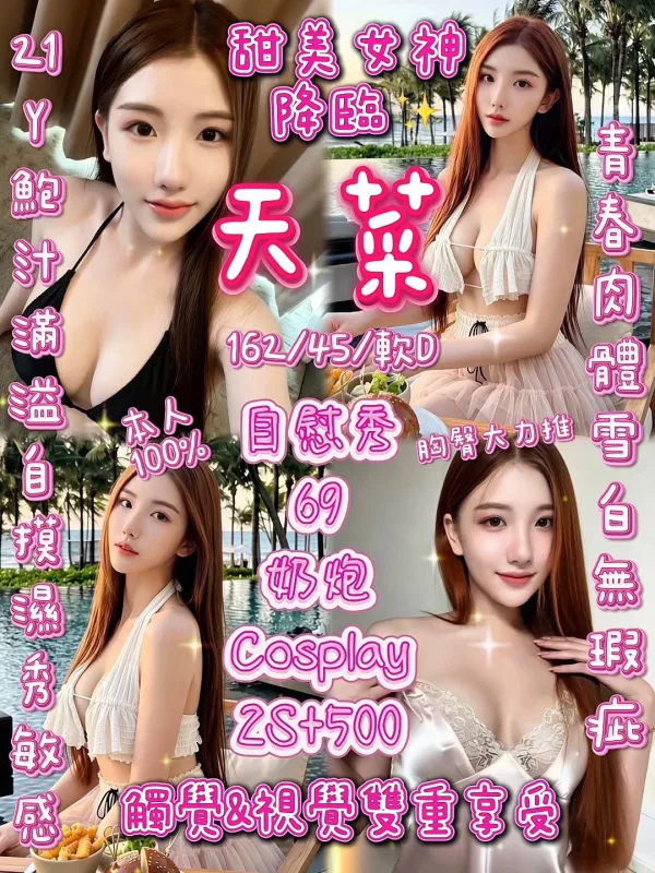 新竹金山園區定點茶